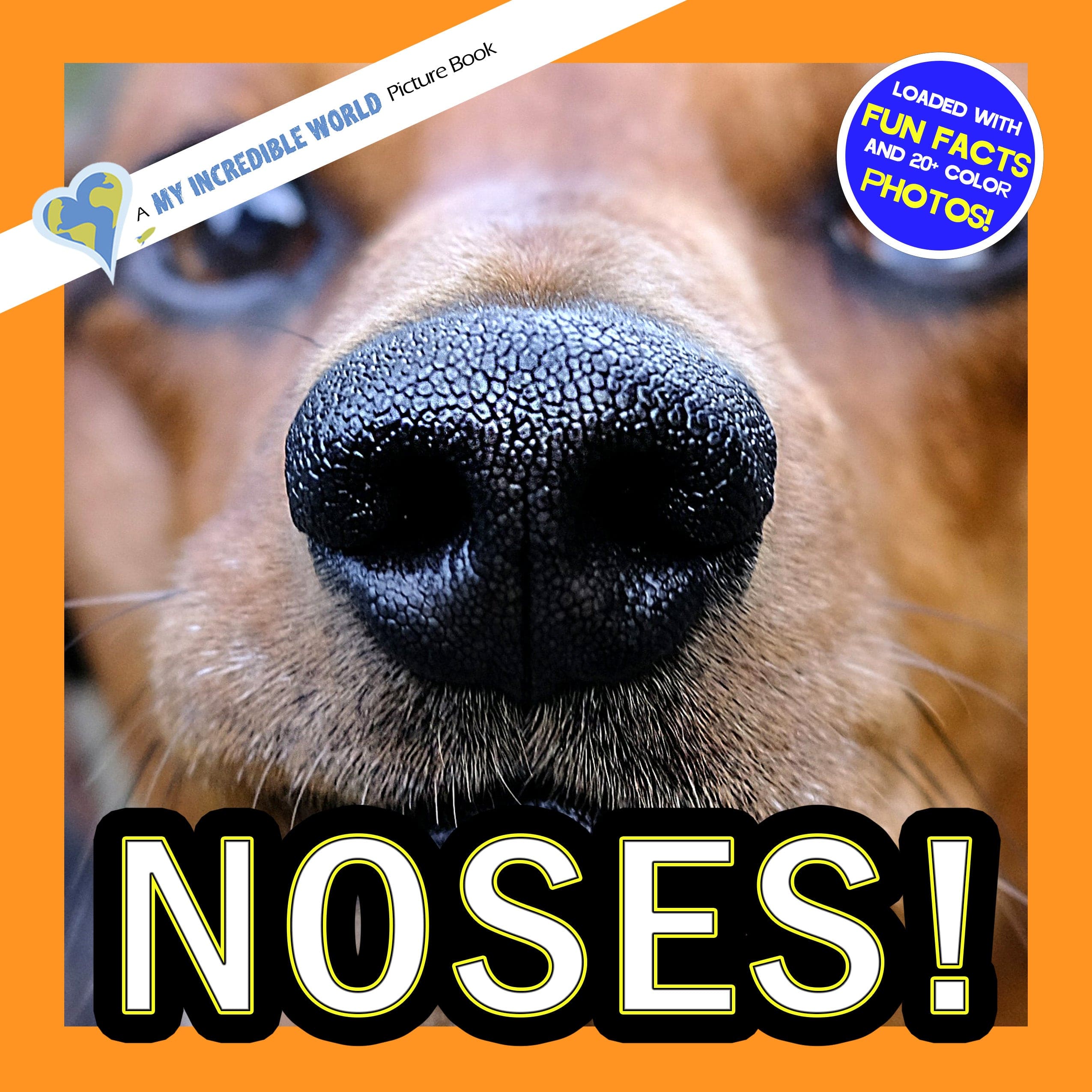 Noses! A My Incredible World Picture Book for Children
